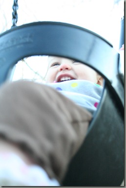 IMG_0740 IMG_0740