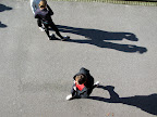 IMG_4453.JPG