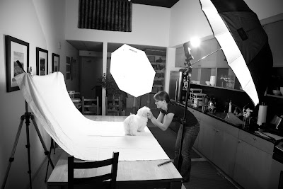 Behind the scenes width=