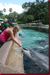 Kelly voert dolfijn