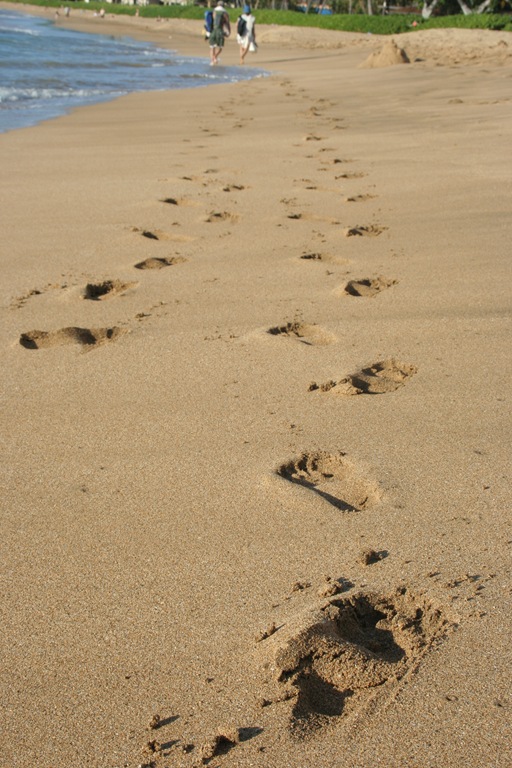 [IMG_96351.jpg]