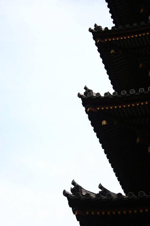 [IMG_41161.jpg]