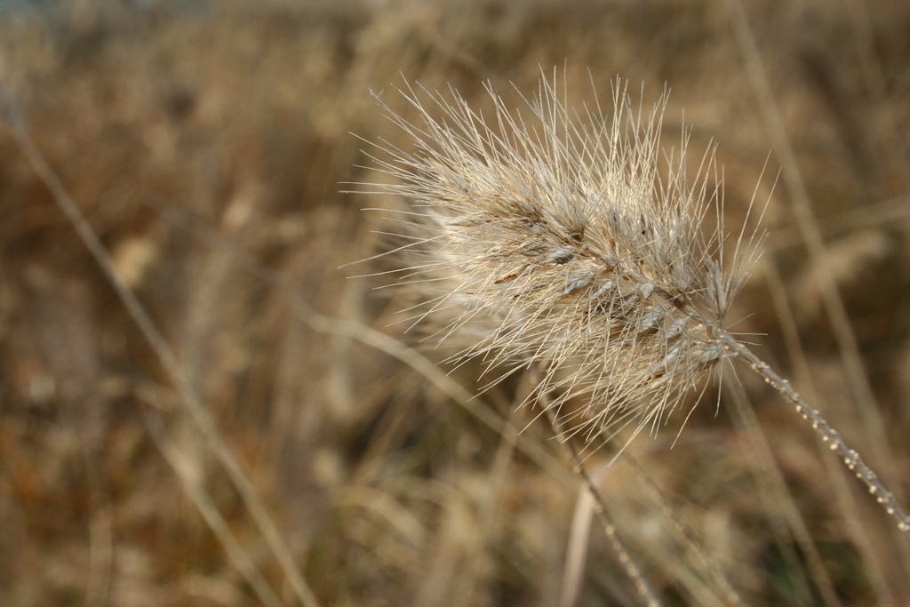 [IMG_48403.jpg]