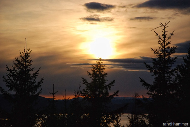 DSC_0081 DSC_0081