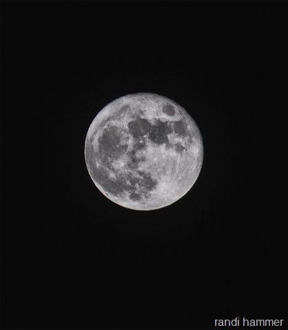 [my moon[3].jpg]