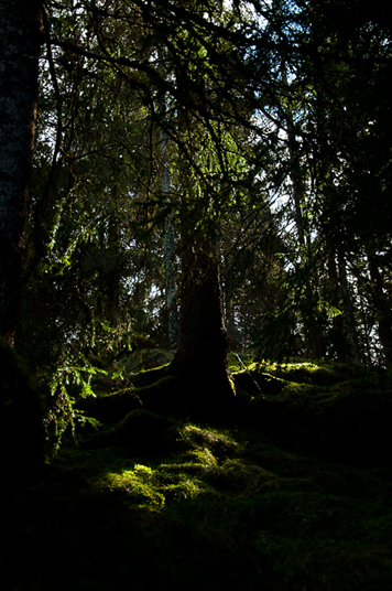 [DSC_0004[2].png]
