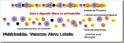 Amino&aacute;cidos