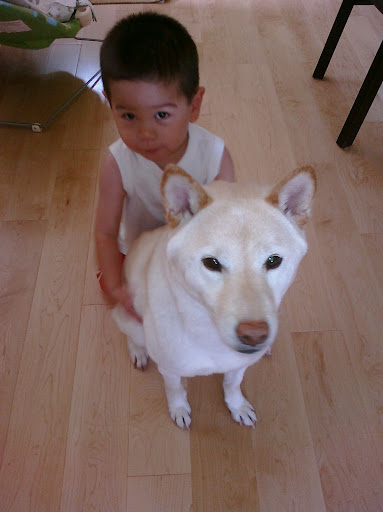 am i going to hug the dog?