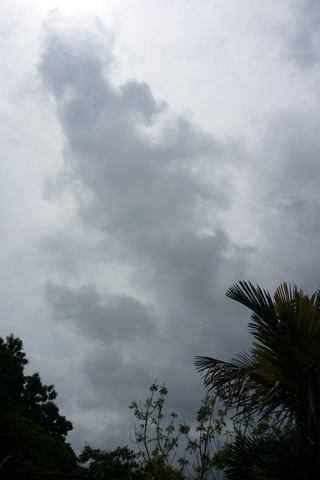 [P1000446[2].jpg]