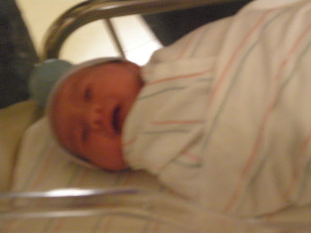 Kaelan Michael Bauer