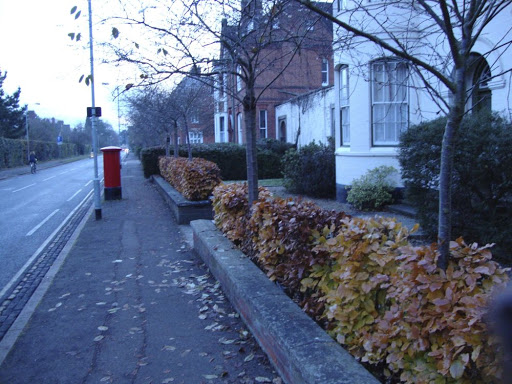 DSC00431.jpg