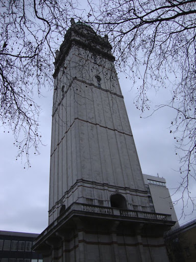 DSC01117.jpg