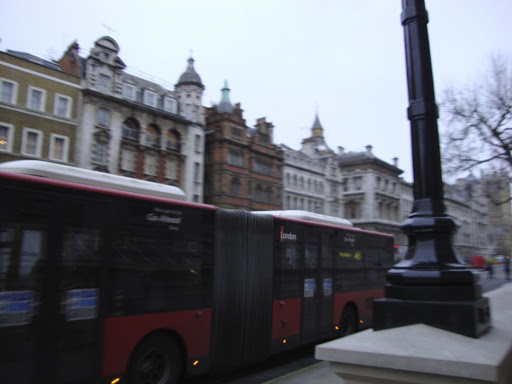 DSC01188.jpg