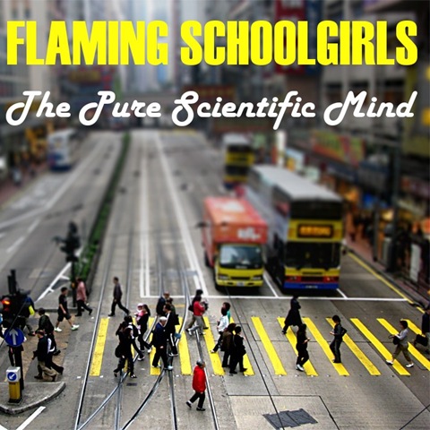 [Flaming Schoolgirls - The Pure Scientific Mind[4].jpg]