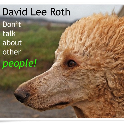 [David Lee Roth - Don't talk about other people[4].jpg]