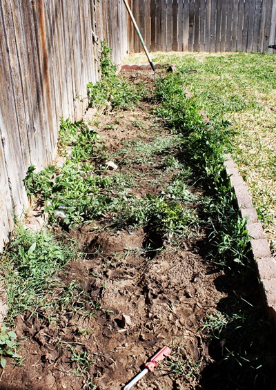 Garden Before Garden Before