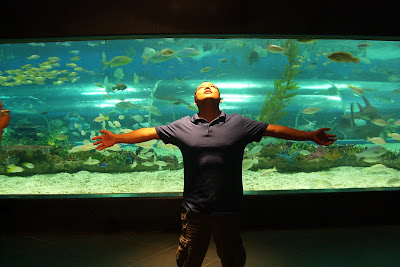 manila ocean park, manila