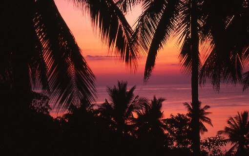 Sunrise