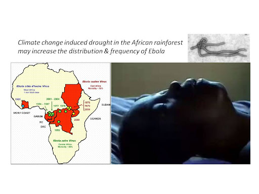Ebola virus, Ebola victim & distribution in Africa Why should this photo be Ebola virus, Ebola victim & distribution in Africa Why should this photo be
