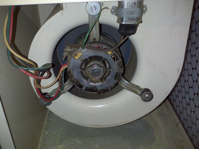 Blower motor