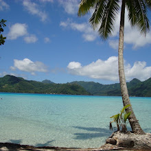 image: Dingo Bay