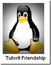 tutorit friendship award