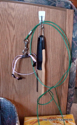 [cattoys0194.jpg]