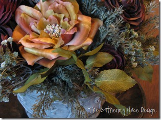 IMG_1543 IMG_1543
