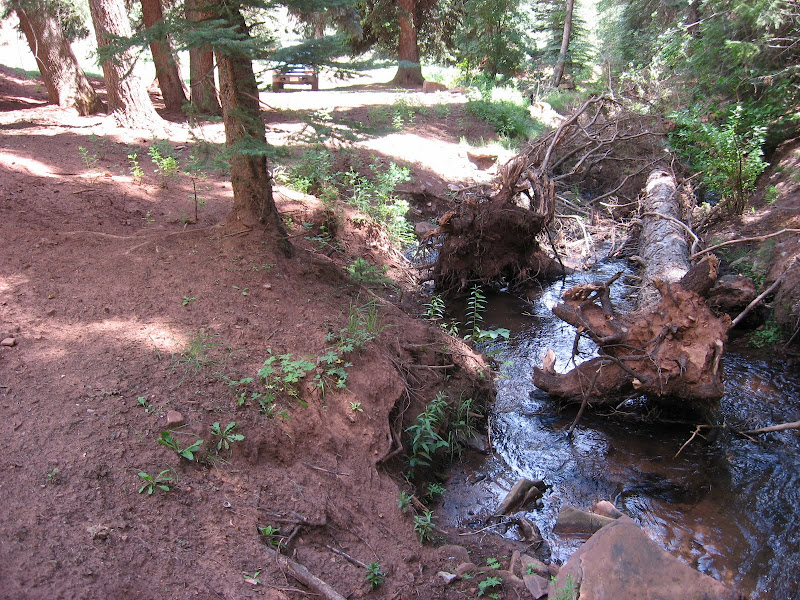 East Fork Red Dirt Creek