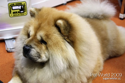 Pet World Malaysia 2009
