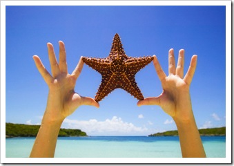estrela-do-mar