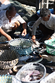 Fishermen sorting out their catch