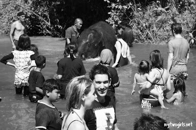 Kuala Gandah Elephant Sanctuary - Bathing the elephant