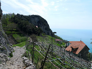 White grape vinyards cover any areable land.