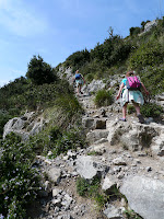 Lily chooses the upper, more difficult trail at the fork.