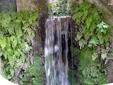 They call them Maidenhair ferns for a reason.