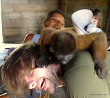 MONKEY CHAOS!  AHHHAHHHHAHH