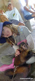 This was Emma's favorite.  Not quite as crazy and very cute.