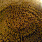 Dust covered human bones