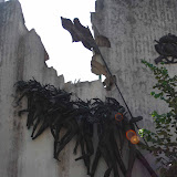 DSC_0021.jpg