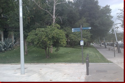 IMAG0093