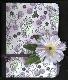 2010 10 LRoberts Journals of Love for Cancer Patients Dream Girls