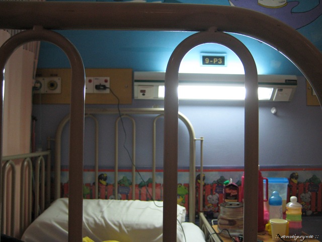 [IMG_00976.jpg]