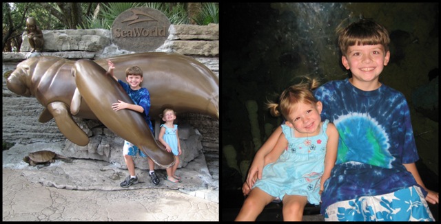 [Sea World Collage3[4].jpg]
