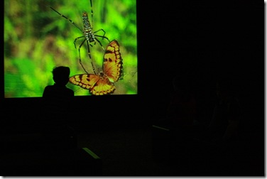 IMG_2574 IMG_2574