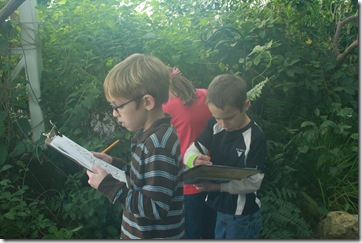 IMG_2559 IMG_2559