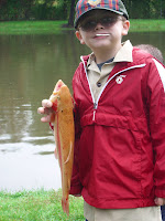IMGP2936.JPG