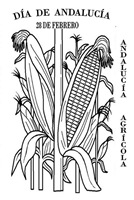 JYCandalucia (12) JYCandalucia (12)