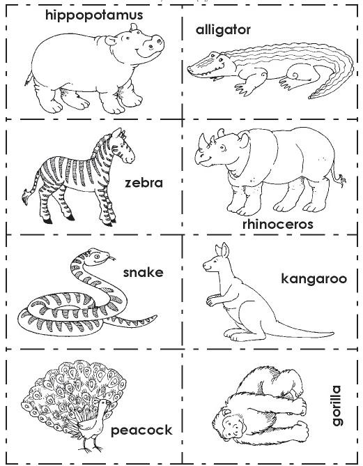 [zoo2[3].jpg]