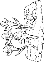 3 -jyc pascua (4) 3 -jyc pascua (4)